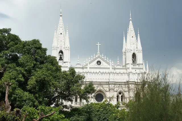 The white towers of Santa Ana Cathedral above trees.